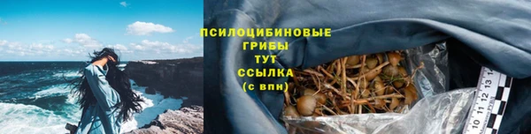 трава Алзамай