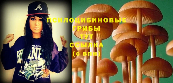 трава Алзамай